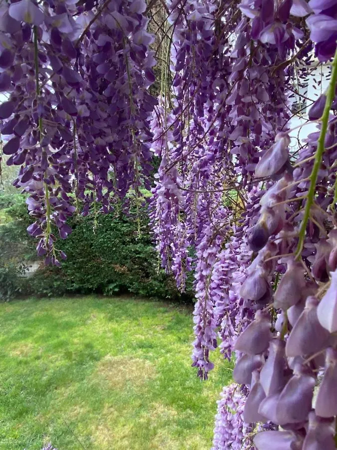 Bed & Breakfast B&B Fior Di Toscana Serravalle Pistoiese