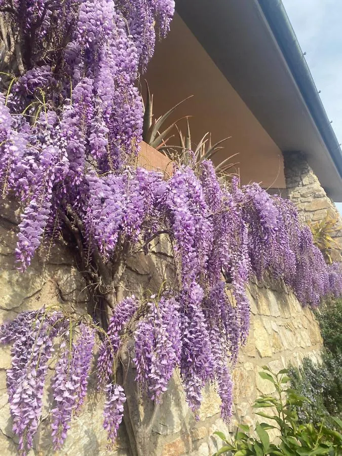 B&B Fior Di Toscana Serravalle Pistoiese 0*,